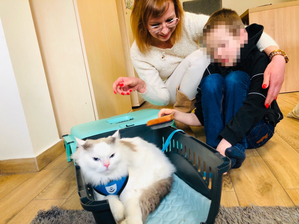 felinoterapia Toruń