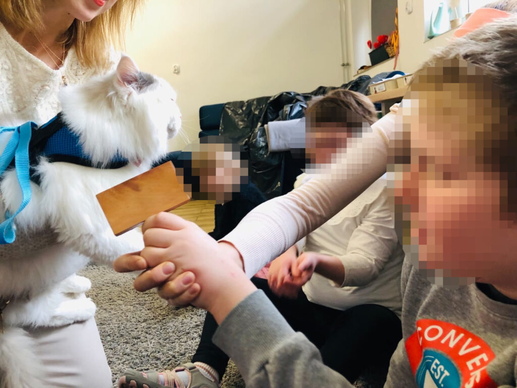felinoterapia Toruń