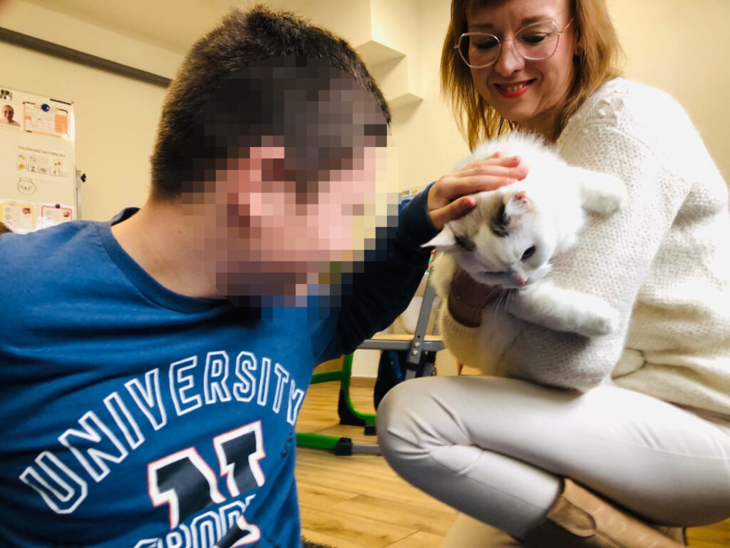 felinoterapia Toruń