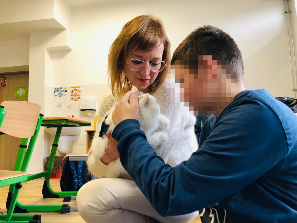 felinoterapia Toruń